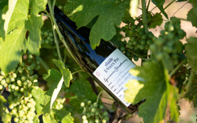 Le Vieux Pin award-winning wines